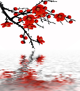 水中紅燦梅花倒影