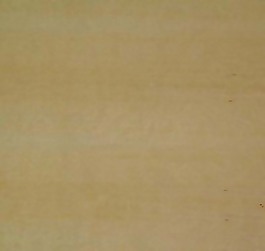 常用3D木材材質(zhì)素材32