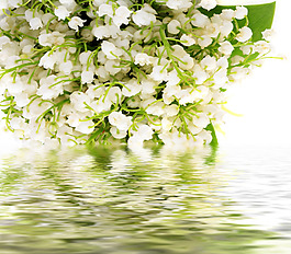 水中白色花束倒影圖
