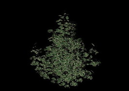 植物3D模型素材（20080503更新）62