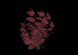植物3D模型素材（20080503更新）58