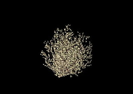 植物3D模型素材（20080503更新）52