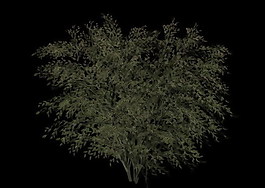 植物3D模型素材（20080503更新）47
