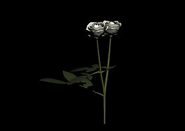 植物3D模型素材（20080503更新）35