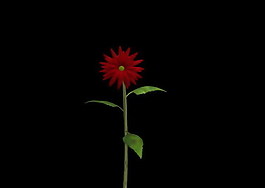 植物3D模型素材（20080503更新）13