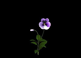 植物3D模型素材（20080503更新）4