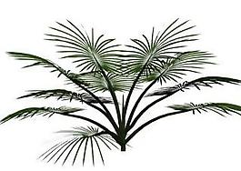 植物3D模型素材（20080502更新）24