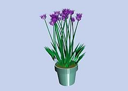植物3D模型素材（20080502更新）23