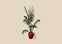 植物3D模型素材（20080502更新）19