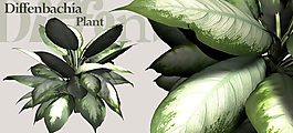 植物3D模型素材（20080502更新）2