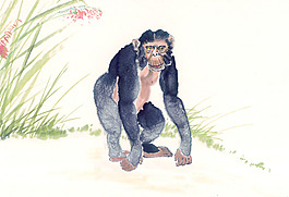 小草中國(guó)畫繪畫猴子