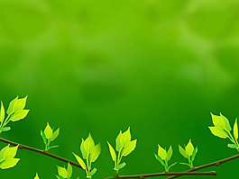 綠色清新的葉子PowerPoint背景