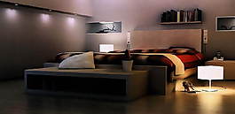 2008最新臥室3d模型2