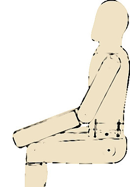 人體藝術(shù)側(cè)視圖夾