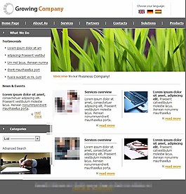 電腦商務(wù)企業(yè)網(wǎng)站CSS模板