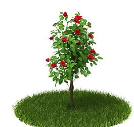 精品國(guó)外植物3D模型43