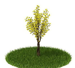 精品國外植物3D模型42