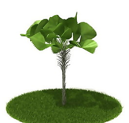 精品國(guó)外植物3D模型37