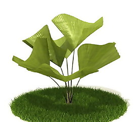 精品國外植物3D模型34