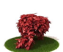 精品國外植物3D模型29