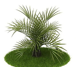 精品國(guó)外植物3D模型25
