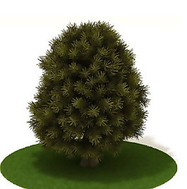 精品國外植物3D模型7