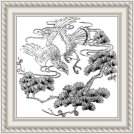 松鷹
