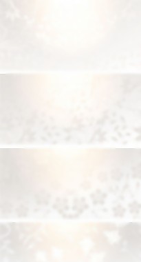 梯度模式bannervector