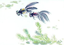 金魚繪畫