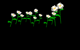 鲜花