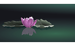 荷花倒影