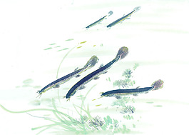 小鱼艺术绘画