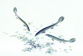 小魚有余
