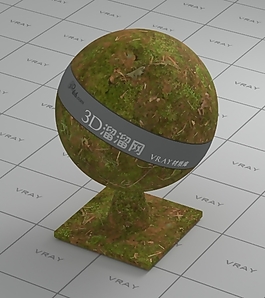 vray苔蘚材質(zhì)