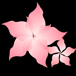 粉紅色的花