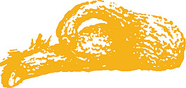 sqaush剪贴画