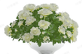 3D花模型