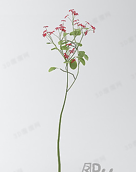 3D花模型