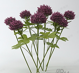 3D花模型