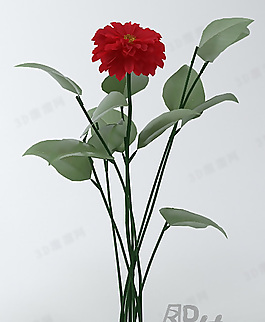 3D花模型