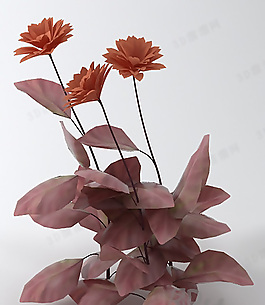 3D花模型