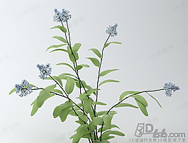 3D花模型