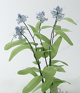 3D花模型