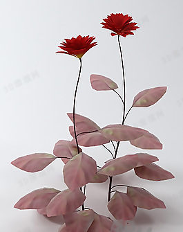 3D花模型