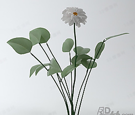 3D花模型