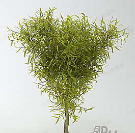 3D灌木模型