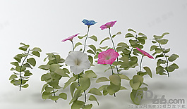 3D花模型