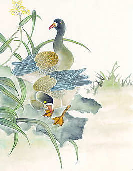 動物花鳥藝術(shù)