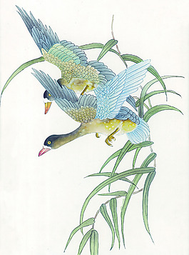 花鳥藝術