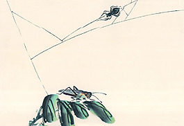 拉網(wǎng)